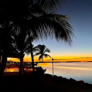 Meet your Posher, Francesca! ❤️